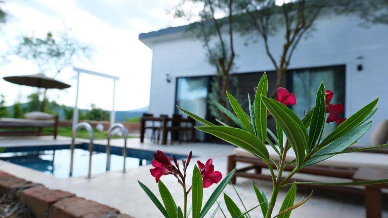 Zai Jardin Villa Fethiye Esterno foto